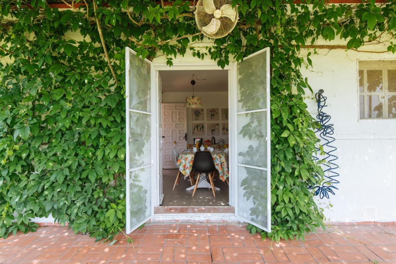 La Casita De Hato Pinos, Un Rincon En Donana Aznalcázar Extérieur photo
